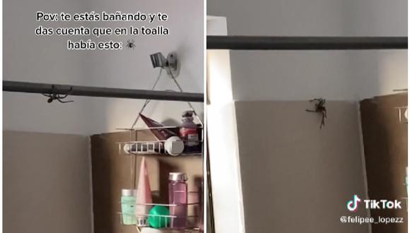Joven se asusta al ver una araña en su casa y decide mudarse. (Foto: @felipee_lopezz / TikTok)