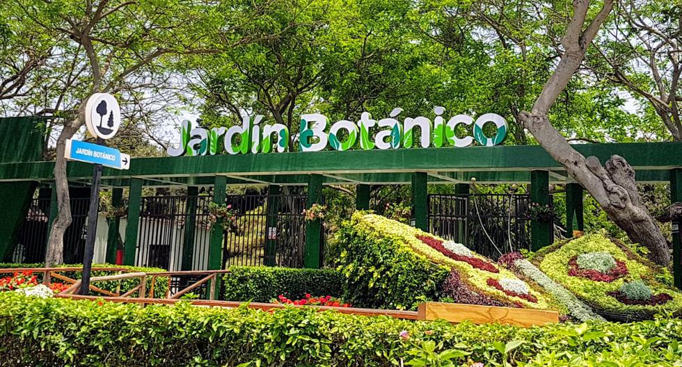 Parque De Las Leyendas Descubre El Jardín Botánico Actualidad Tromecom 