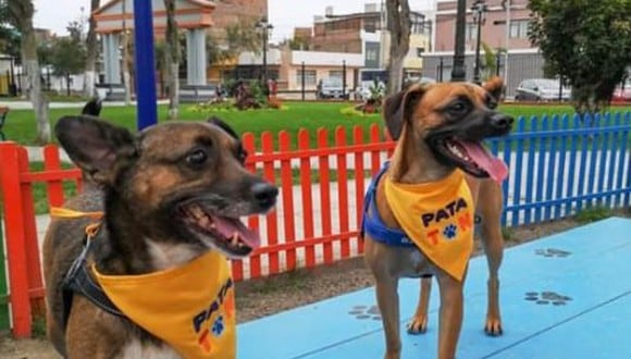 La representante de la organización, Fabiola Alegre, indicó que la actividad se desarrollará en el parque de las mascotas, ubicado en el Campo de Marte, en el distrito de Jesús María. (Foto: Fundación Rayito)