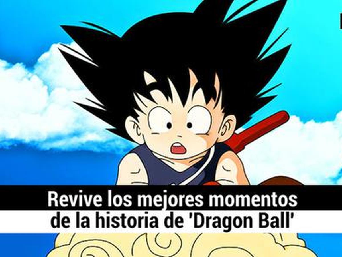 Bulma de Dragon Ball: 10 datos que desconocías de la protagonista de la  serie animada | ESPECTACULOS 