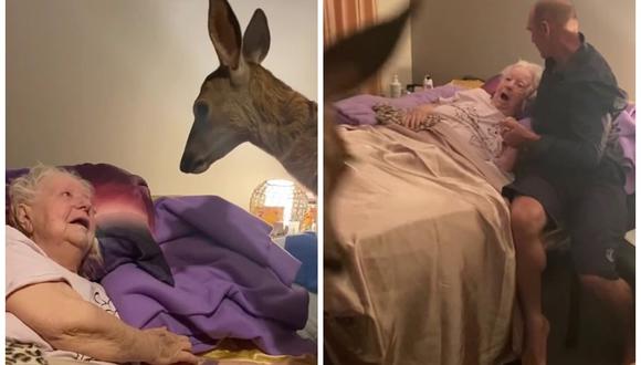 Abuelita fan de “Bambi” cumple su sueño de conocer un ciervo real antes de morir. (Foto: Facebook | The Kindess Pandemic)