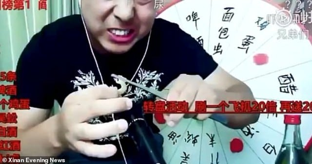 Bloguero chino murió por ingerir insectos venenosos en plena transmisión en vivo