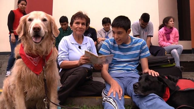 Dos perros ayudan a niños con habilidades diferentes a superar sus limitaciones
