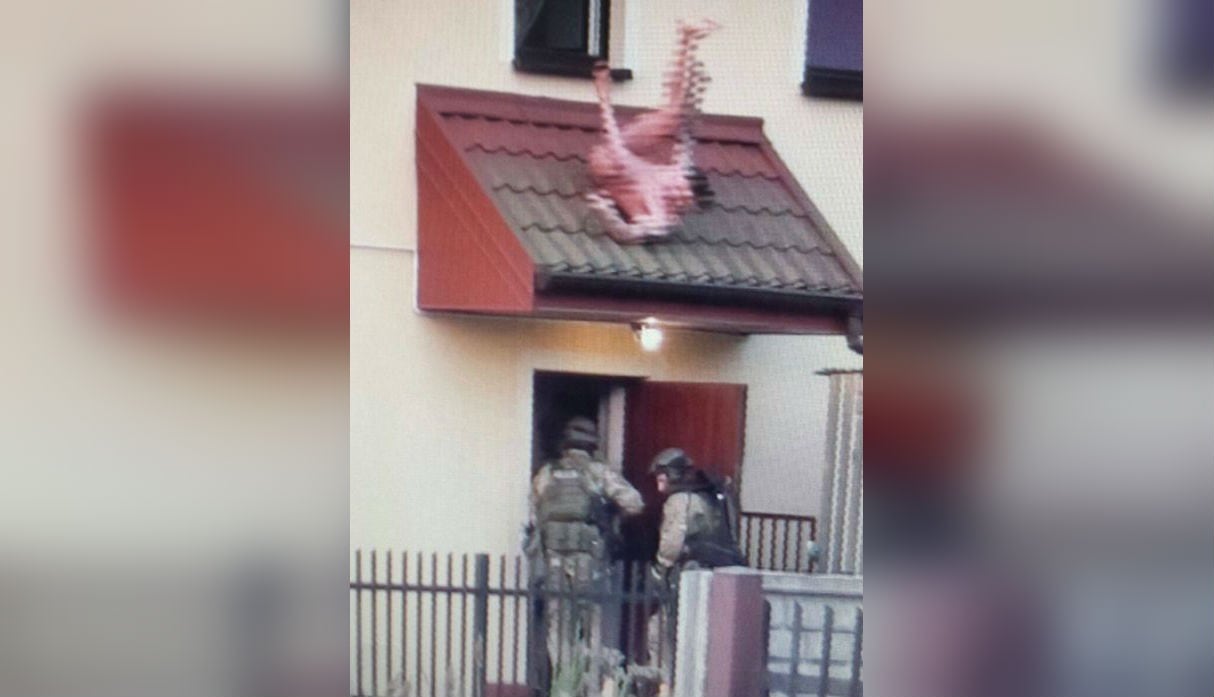 Presunto delincuente salta desnudo por la ventana para escapar de la policía