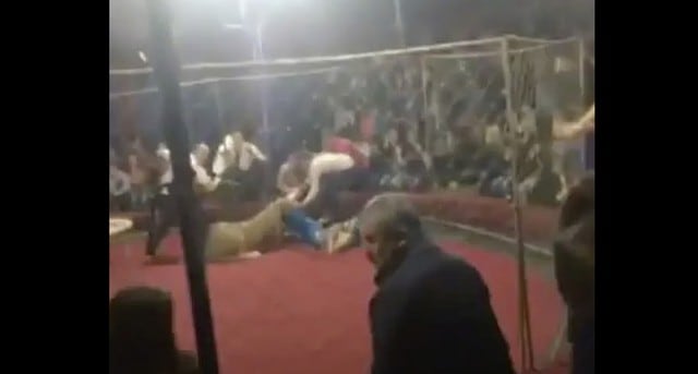 Niña fue atacada por un león durante una función de circo. (Fotos: Captura de video)