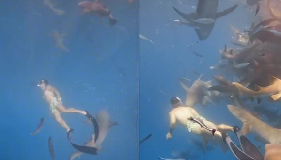 La mordida del tiburón que tuvo lugar este verano en Maldivas acumula ya más de 4 millones de visitas. (TikTok: @rvbengarcia)