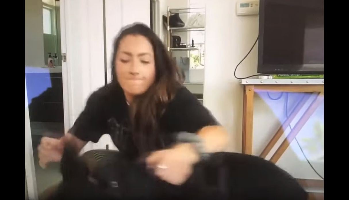 Youtuber publicó por error video donde maltrata a su perro doberman (Captura de video)