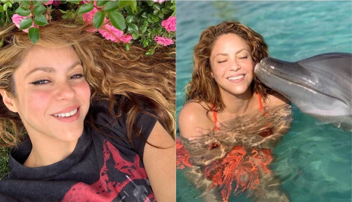 Shakira disfruta de sus vacaciones nadando entre delfines. (Foto: @shakira)