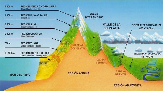 Las regiones naturales del Perú.