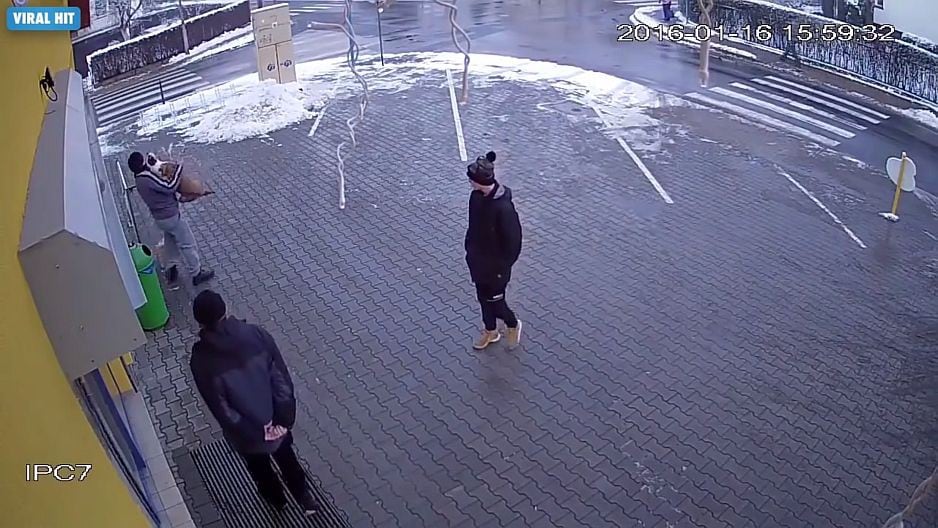 Un hombre lanzó a un perro que agredía a su mascota. (YouTube)