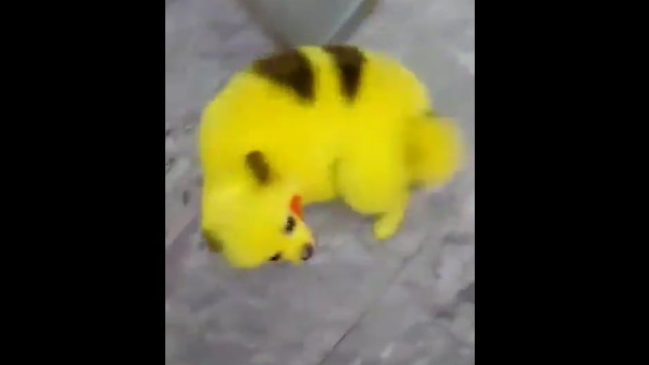 Un video muestra a un perrito teñido como el personaje de anime Pikachu.