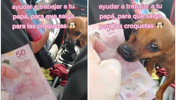 Una perrita se hizo viral al ayudar a su dueño taxista. (Foto: @teresacastroavila / TikTok)