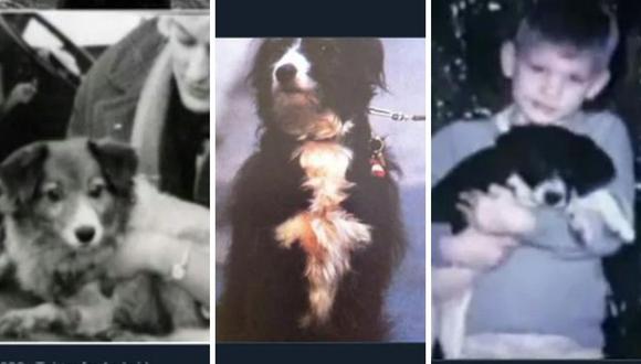 Algunos asesinos tuvieron compañeros caninos que los querían, sin que estos sepan que sus dueños eran despiadados criminales. (Foto: Twitter)
