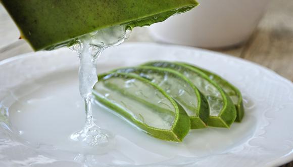 Un gran consejo es conservar los productos de Aloe vera en la heladera para dar esa sensación de frescura extra. Foto: Pexels.
