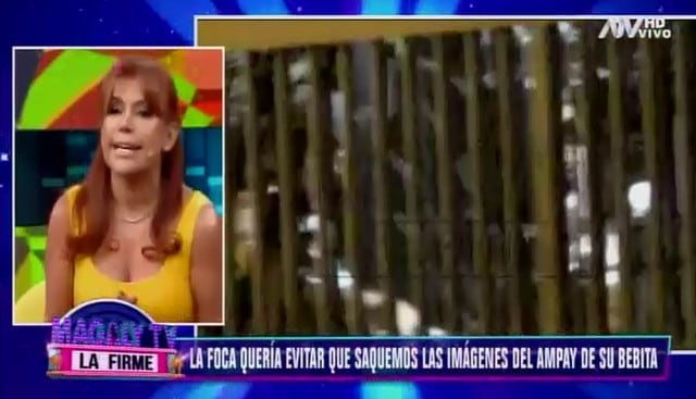Jefferson Farfán ofreció dar entrevista a Magaly Medina si no emitía el ampay entre Ivana Yturbe y Mario Irivarren. (Capturas: Magaly Tv. La firme)