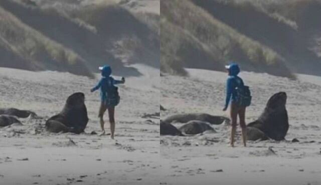 Polémica escena fue captada en una playa ubicada en Nueva Zelanda. (Foto: Captura/Facebook)