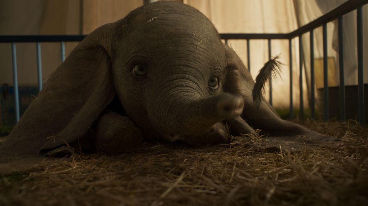 Dumbo: La película donde lo imposible se vuelve realidad llegó a los cines