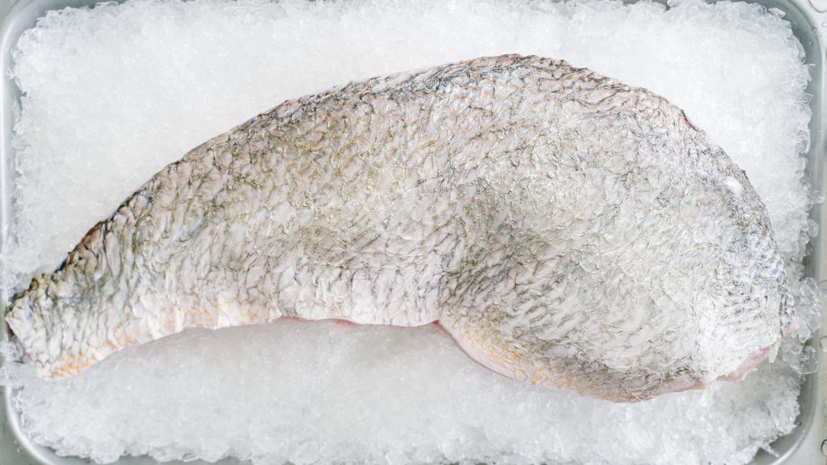 Pescado congelado: cómo mantener el sabor y la frescura - Diario Libre