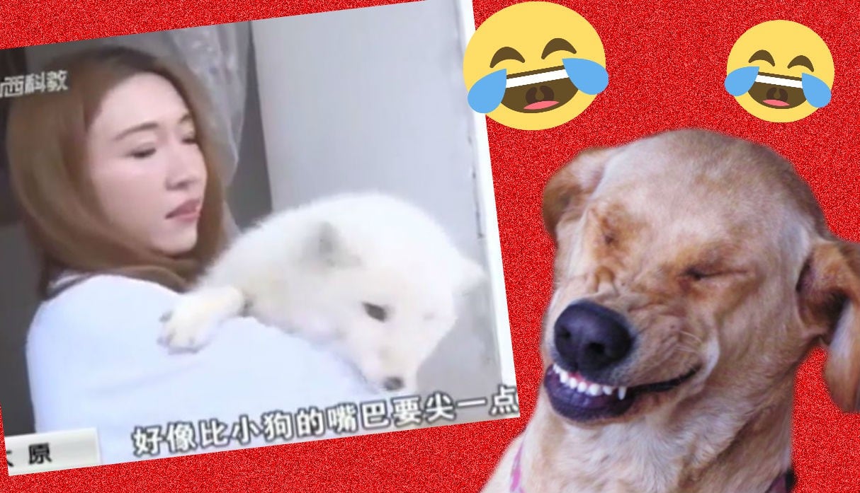 Una joven en China se dio una gran sorpresa al descubrir la verdadera identidad de su tierna mascota. (Composición: Trome.pe / Fotos: Captura)