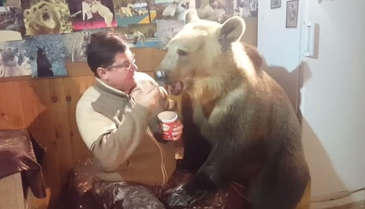 El hombre nunca sintió miedo al tener al oso a su costado y alimentarlo con un poco de helado. (Facebook: @viralhog)