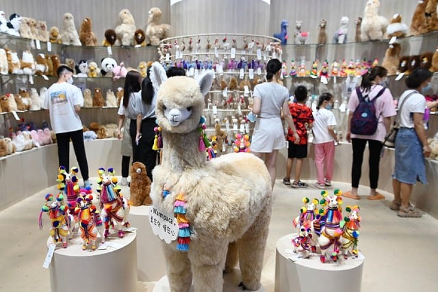 Productos de alpaca peruana son muy apreciados en China y todo un éxito con lindos peluches. (CGTN en español).