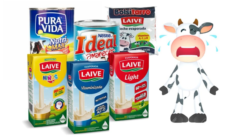 Pura Vida: 15 productos que no son íntegramente leche de vaca