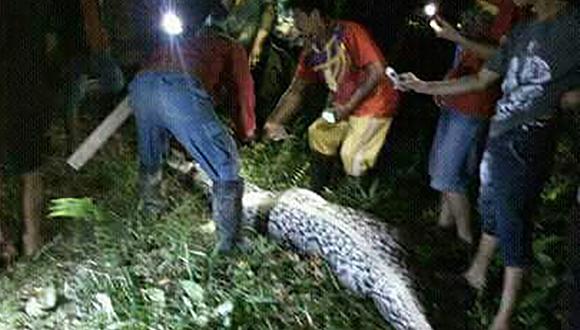 La mujer desapareció el domingo por la noche y el lunes aldeanos vieron a una serpiente enorme con un gran estómago y comenzaron a sospechar. (Foto: NASARUDDIN / AFP)