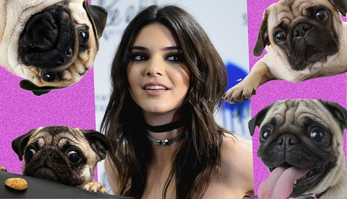 Kendall Jenner no se resistió a los encantos de un perro pug. (Composición: Trome.pe / Fotos: AFP)