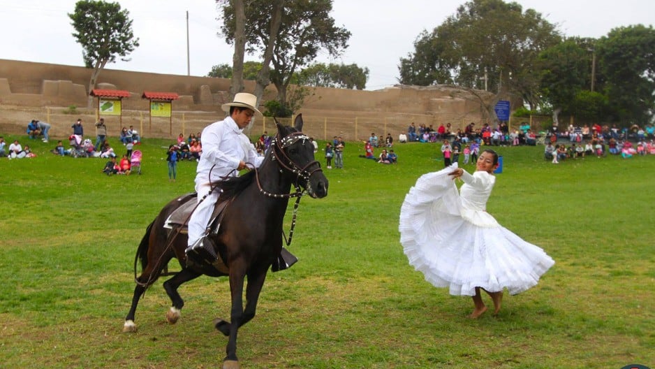 El Circuito Mágico del Agua celebrará el día del Caballo peruano de paso.