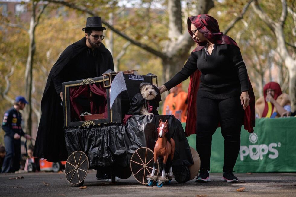 La expectación era grande este domingo en el parque de Fort Greene, en Blooklyn, en el concurso de disfraces de perros que este año se celebró presencialmente tras el confinamiento por el COVID-19. (Foto: Ed JONES / AFP)