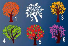 Elige un árbol del test de personalidad para saber qué piensan de ti