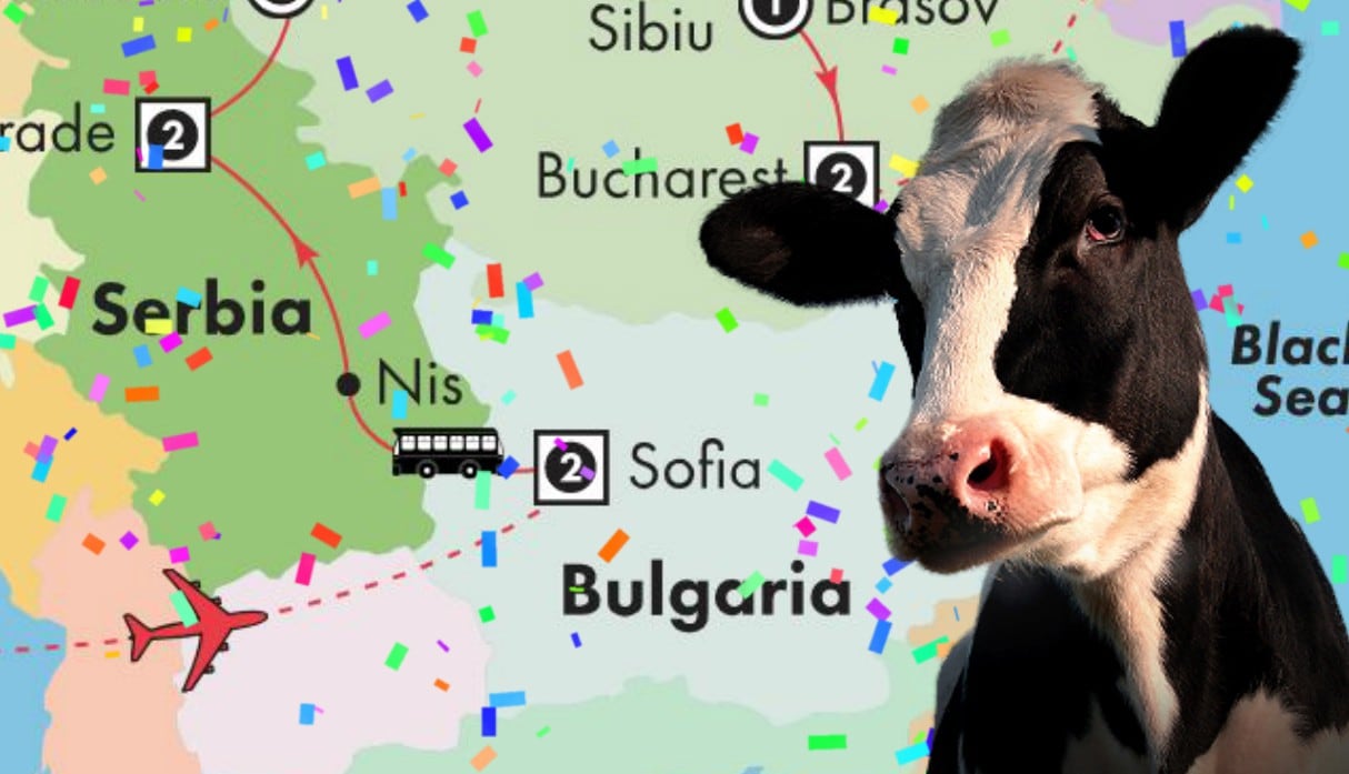 Insólito final feliz para la vaca búlgara que corría peligro de muerte por cruzar frontera con Serbia