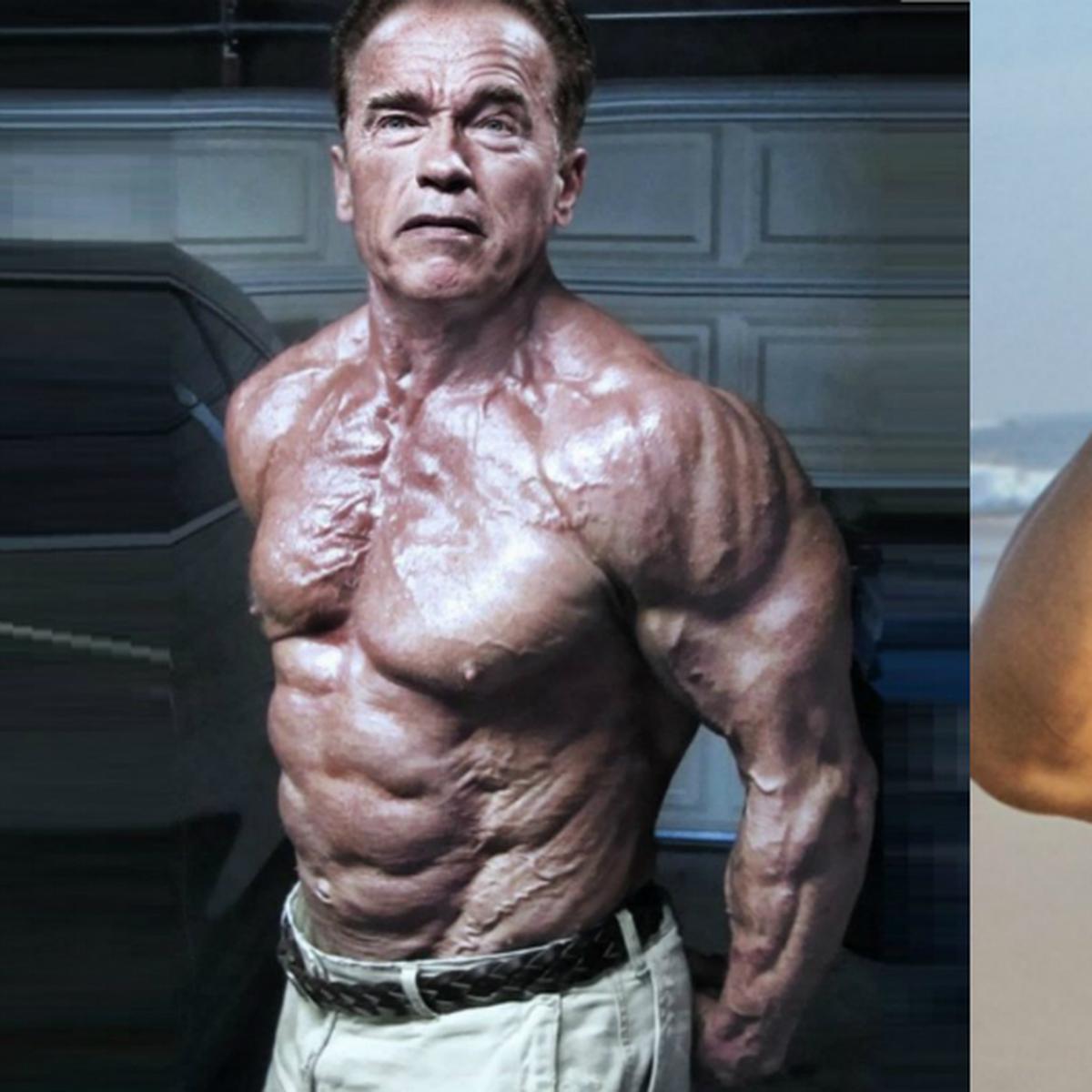 El lamento de Arnold Schwarzenegger sobre su cuerpo: Cuando me miro en el  espejo, vomito - Infobae