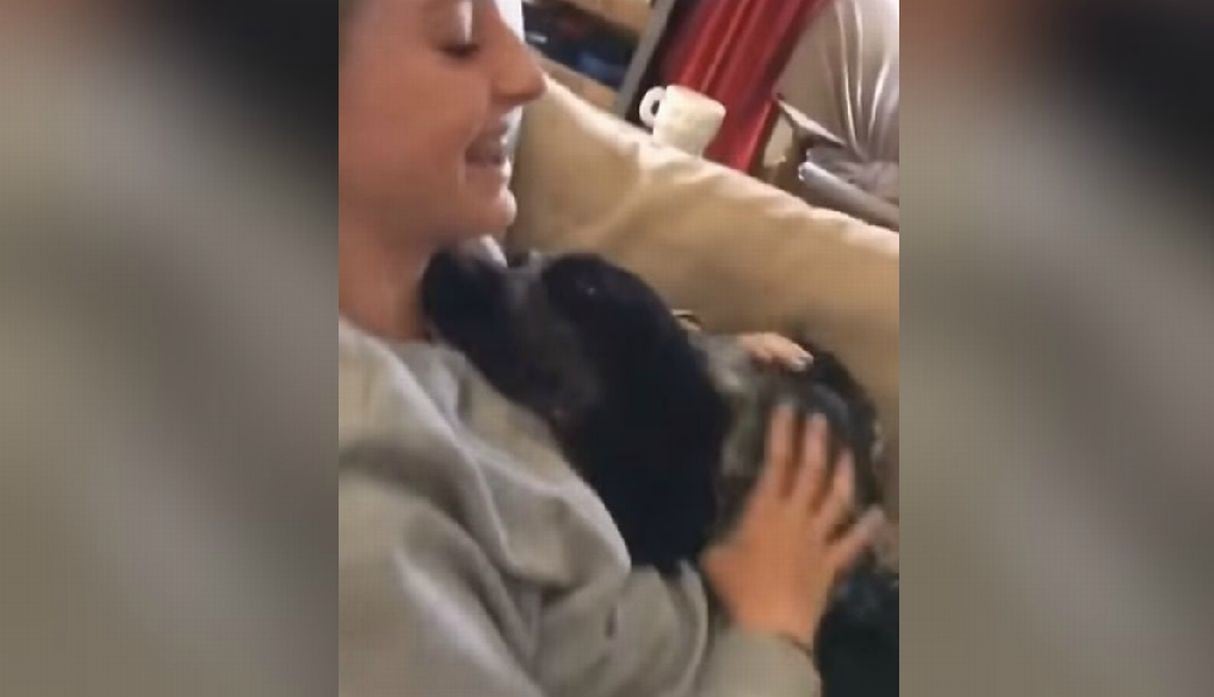 El can demostró que solo quería estar con su dueña. (YouTube: RM Videos)