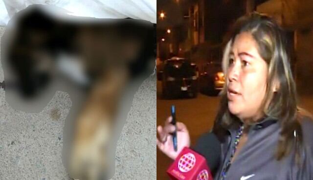 Mujer Mata a cachorro arrojándolo desde quinto piso en San Martín de Porres. Foto: Composición con imágenes de Facebook de Wendy Córdova y de América Noticias