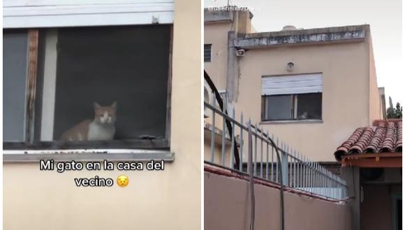 Gato engaña a su dueña y se va a la casa de su vecino. (Foto: @userisli9zphcq / TikTok)