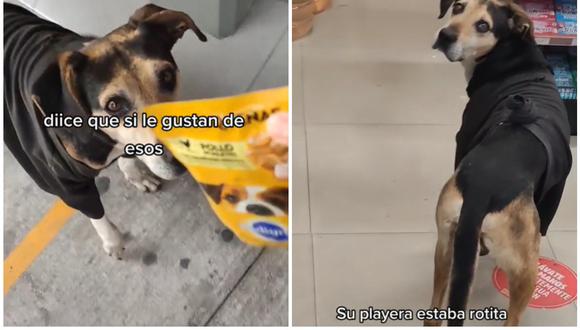Un perro consigue que la gente le compre comida con solo mirarlos triste. (Foto: @soyruthqfb / TikTok)