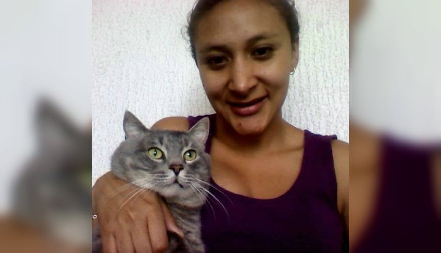 Ecuatoriana vendrá a buscar a su gatito que se perdió en el Aeropuerto Internacional Jorge Chávez