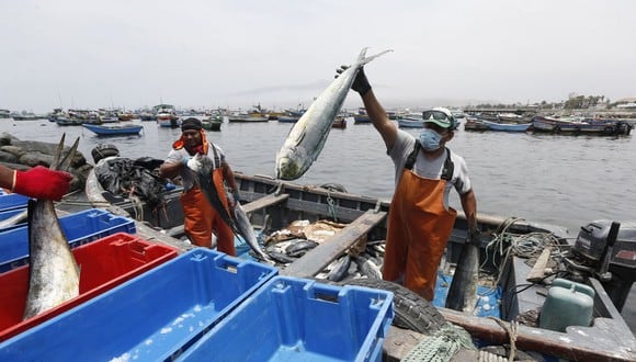 Más de 36 mil pescadores artesanales serán beneficiados con el subsidio (Foto Produce)