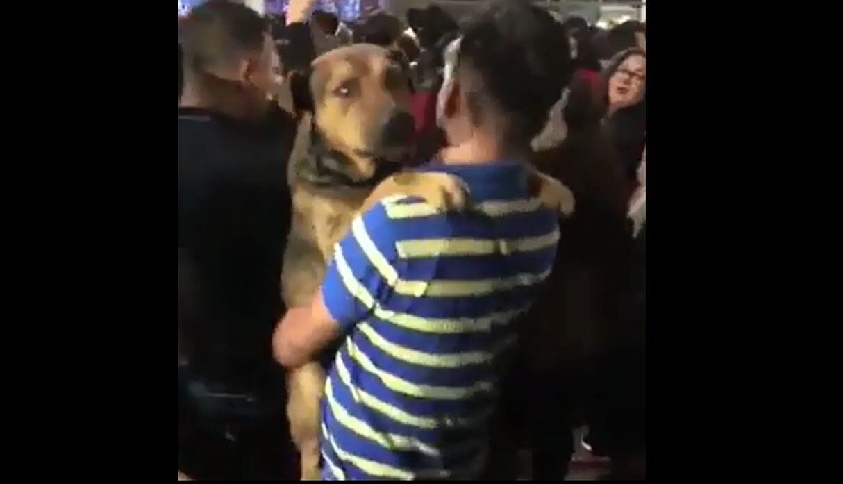 Joven bailó con su perro en concierto de Tony Rosado. (Facebook)