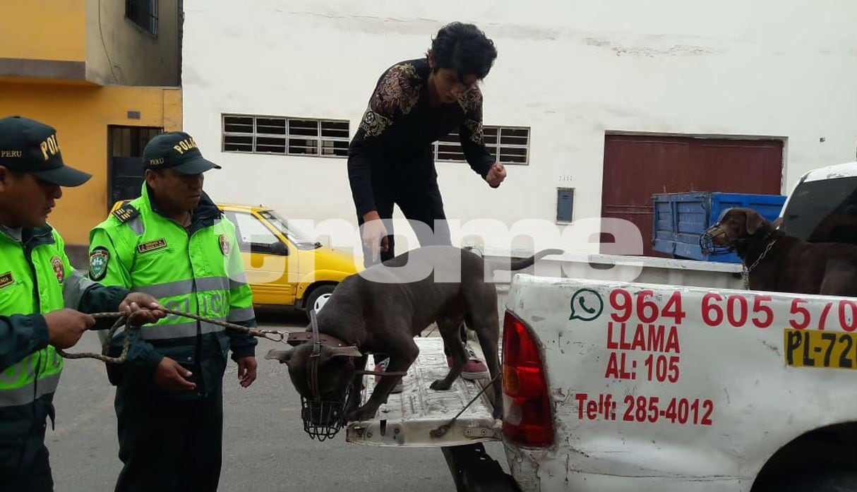 Mujer queda desfigurada tras sufrir brutal ataque de dos perros. Foto: Mónica Rochabrum
