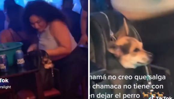 En el video se observa al perro dentro un bolso mientras a su alrededor la aparente dueña baila en la fiesta. (Captura: @felixcoorslight)
