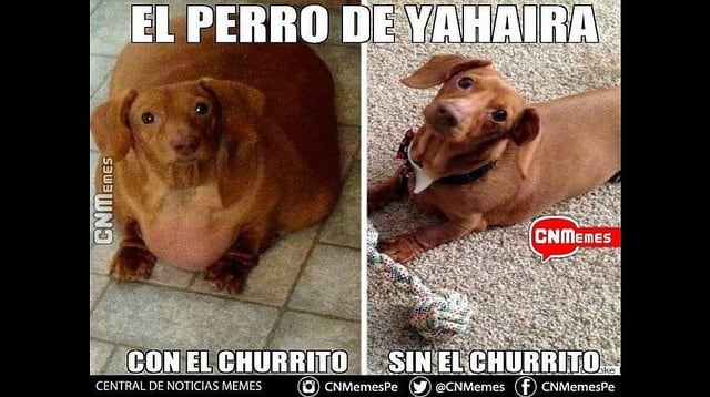 Los memes Yahaira Plasencia y el 'Churrito' Hinostroza.