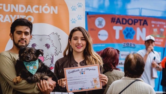 Adoptatón 2022: perritos y gatitos rescatados buscan un hogar en evento que se realizará en Surquillo