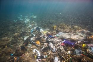 Peruanos apoyan prohibición mundial de plásticos de un solo uso para detener crisis de contaminación