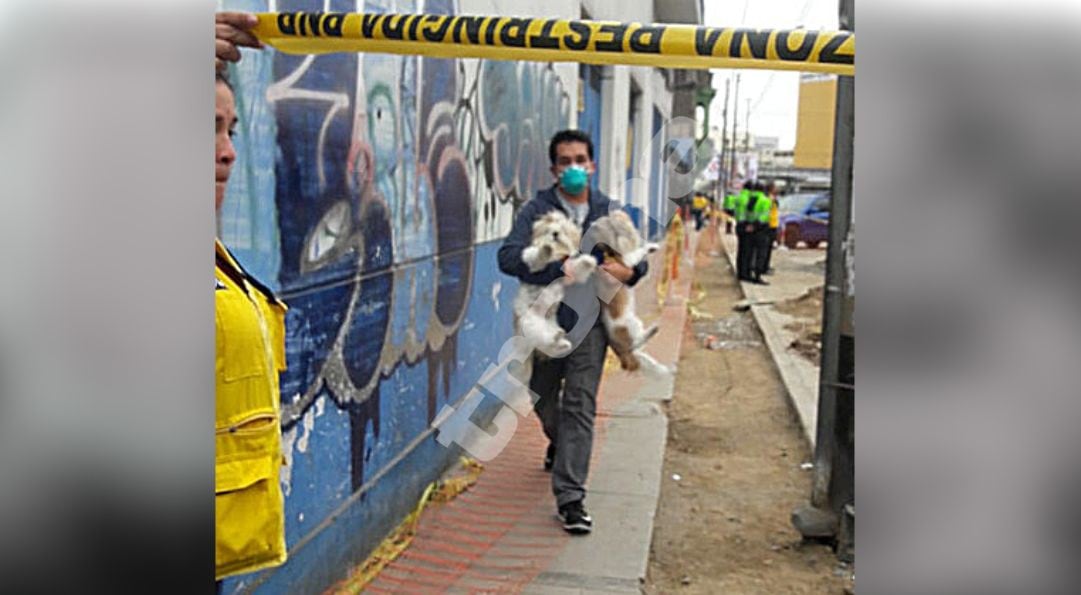 Breña: vecinos huyeron con sus mascotas por incendio en grifo frente al Hospital del Niño (Foto: José Yucra)