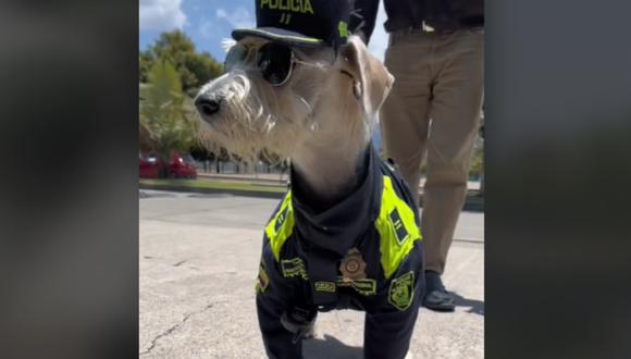 El perrito aparece como un policía más del escuadrón. (Foto: @policiadecolombia)