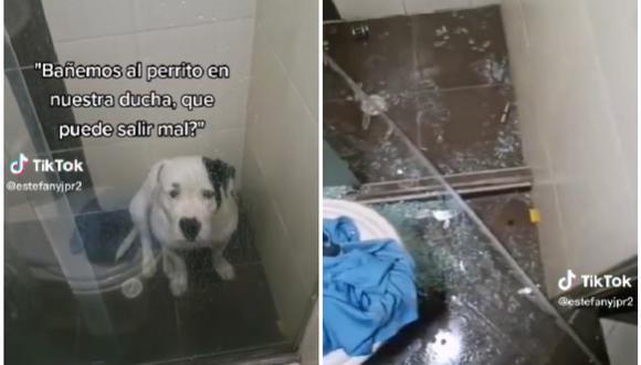Una mascota rompió la ducha de sus amos cuando quisieron asearla. (Foto: @estefanyjpr2 / TikTok)