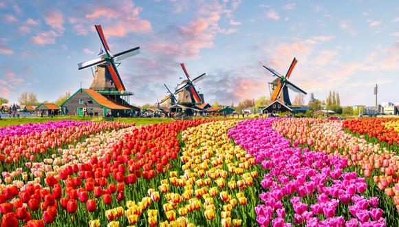Molinos de viento tradicionales holandeses. Foto: ¡Stock.