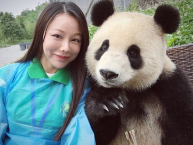 Panda amo del selfie